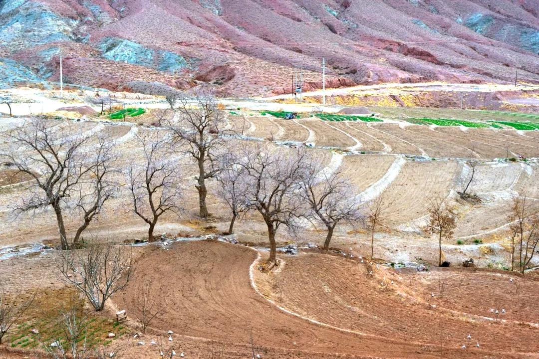 镜头中的野麻村 走进美丽乡村风景线