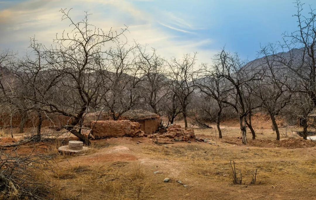 镜头中的野麻村 走进美丽乡村风景线