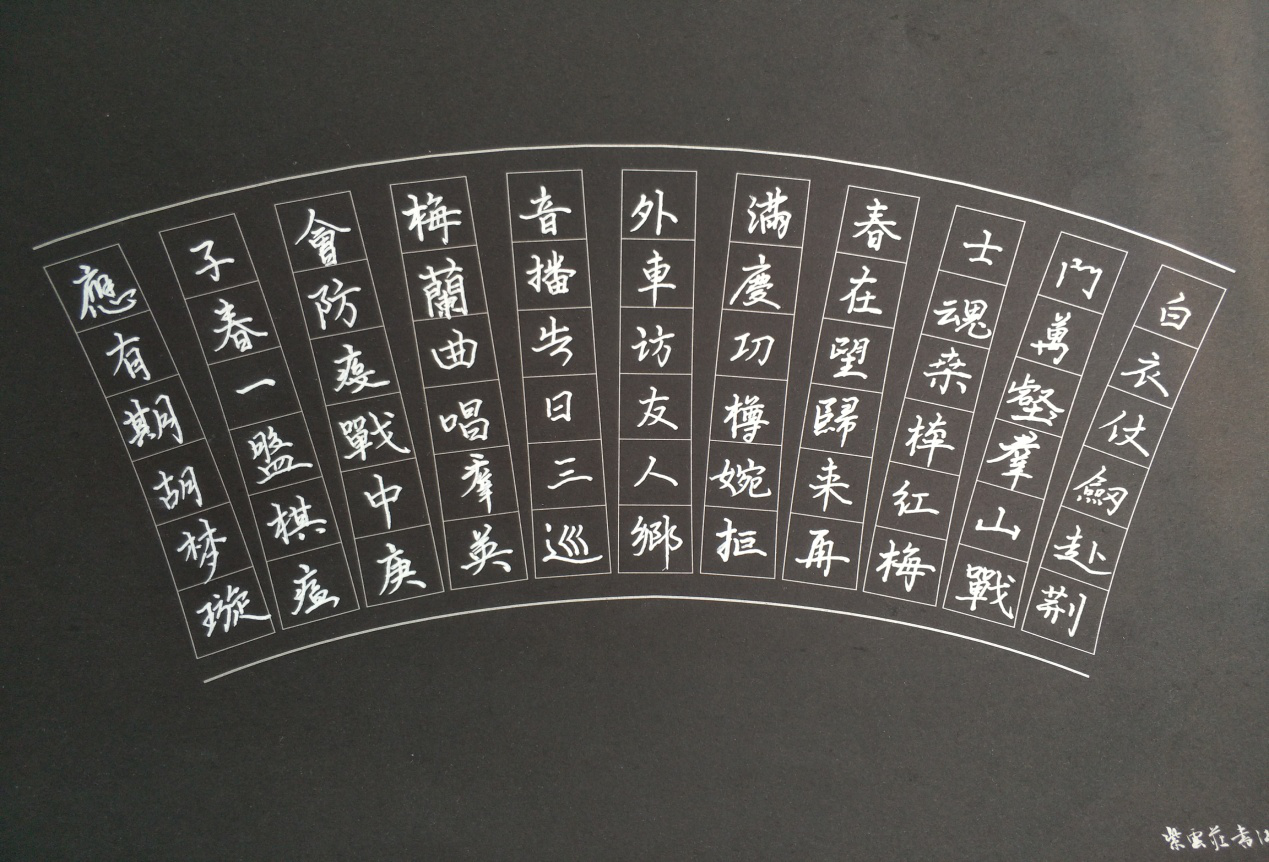 17护5 胡梦璇《抗疫诗》