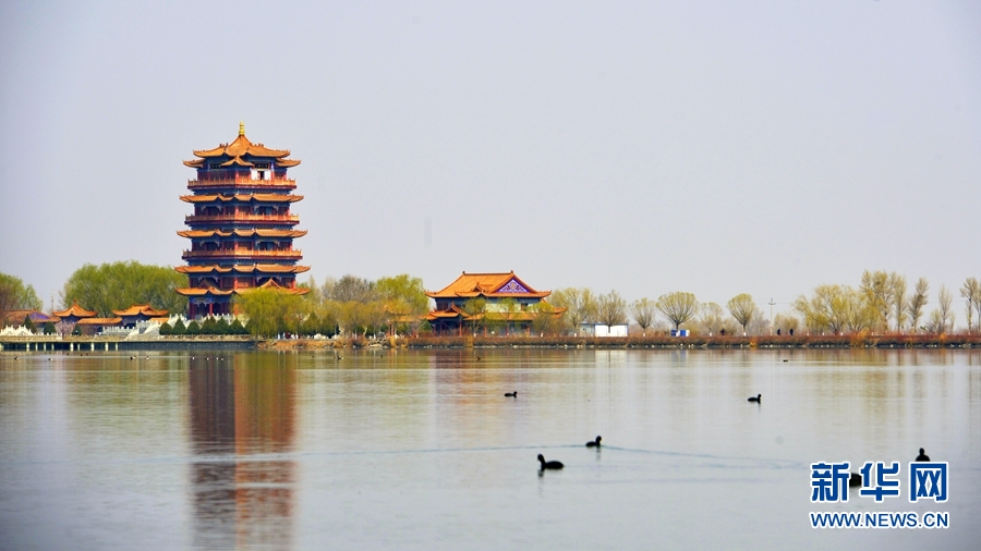 甘肃高台:崇文楼前春意浓