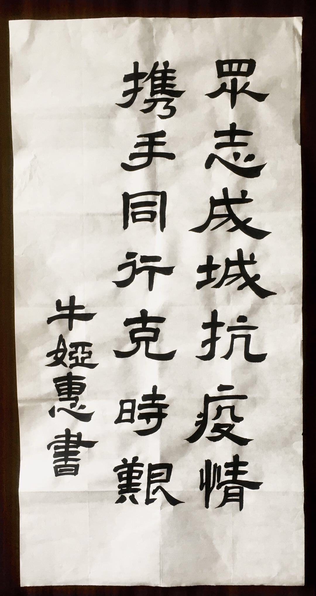 17放本牛娅惠《众志成城抗疫情,携手同行克时艰》