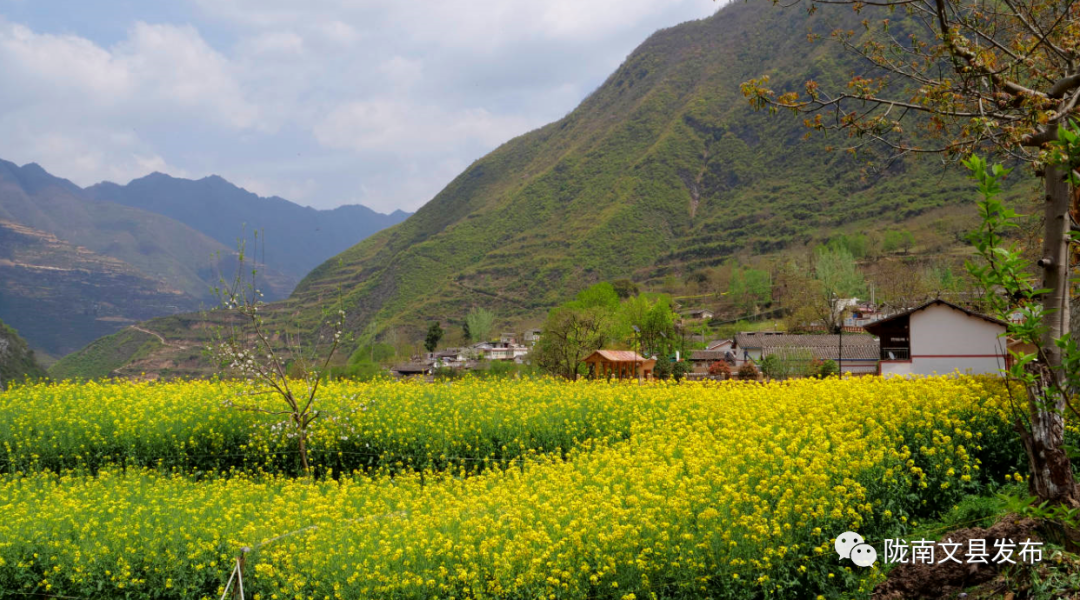 村庄大变样文县丹堡镇美颜迎客