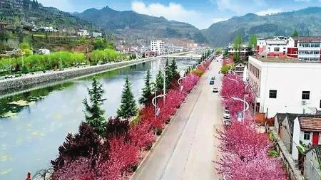 去两当,与樱花赴约