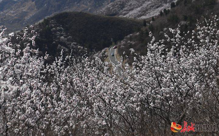 迁安区人口_迁安学区规划区图