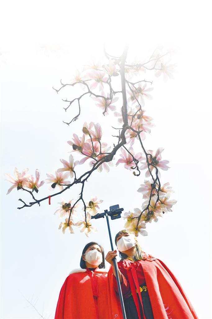 陕西抢抓 云端 机遇撬动新动能 陕西频道 凤凰网