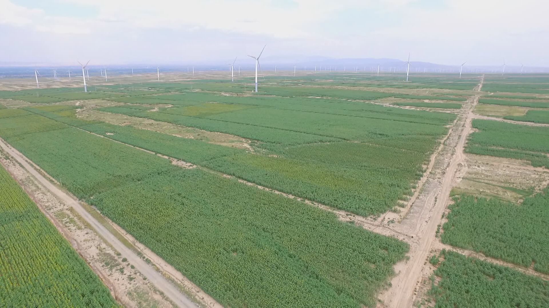 连日来,景泰县万亩高标准农田建设的土地上,大型机械来回穿梭,犁地,铺