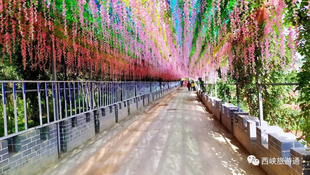 西峡丹水陈河坡花海果香生态园五一亲子生活节即将开启更有免票福利在