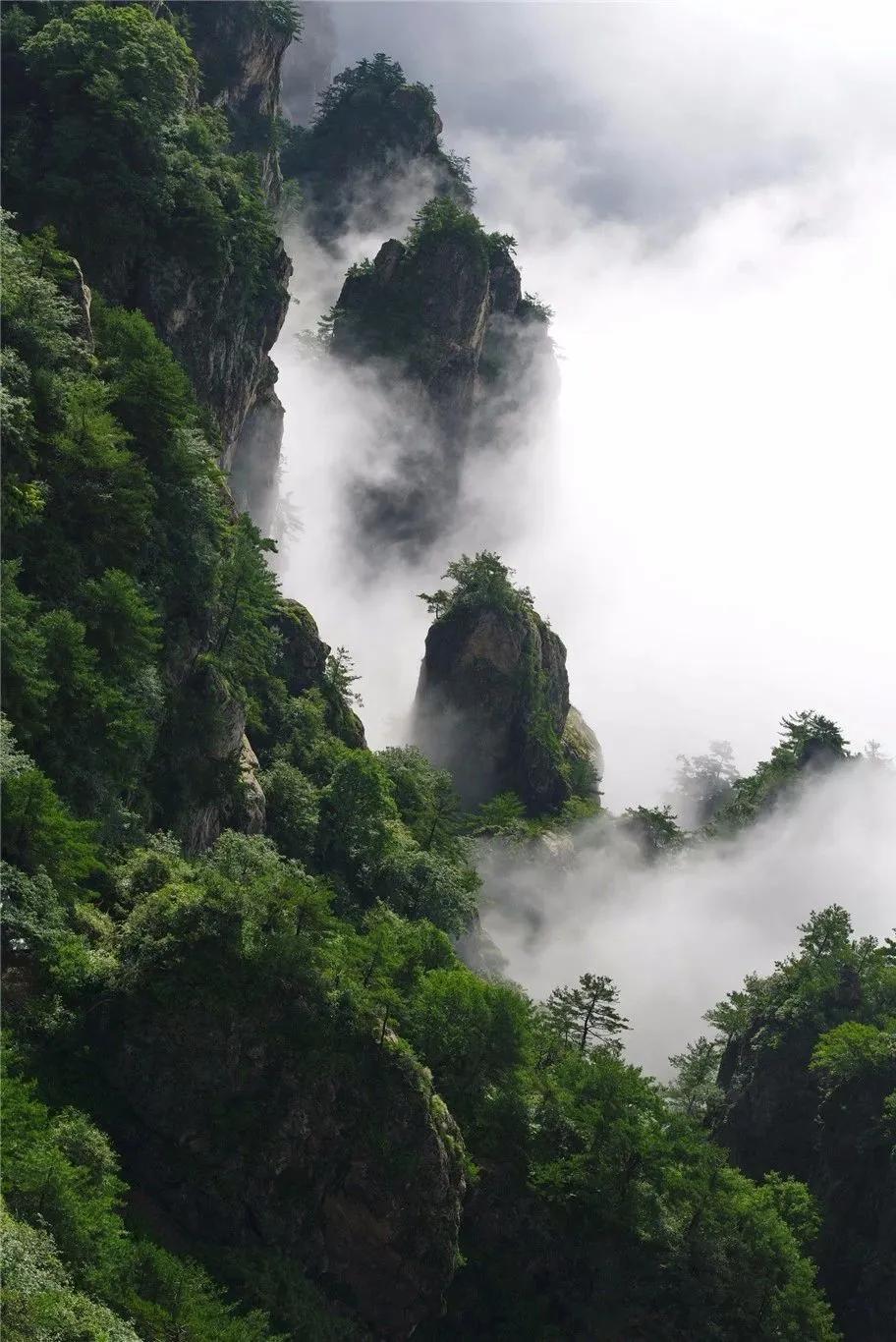 古风美女与你相约老君山观仙山看花海