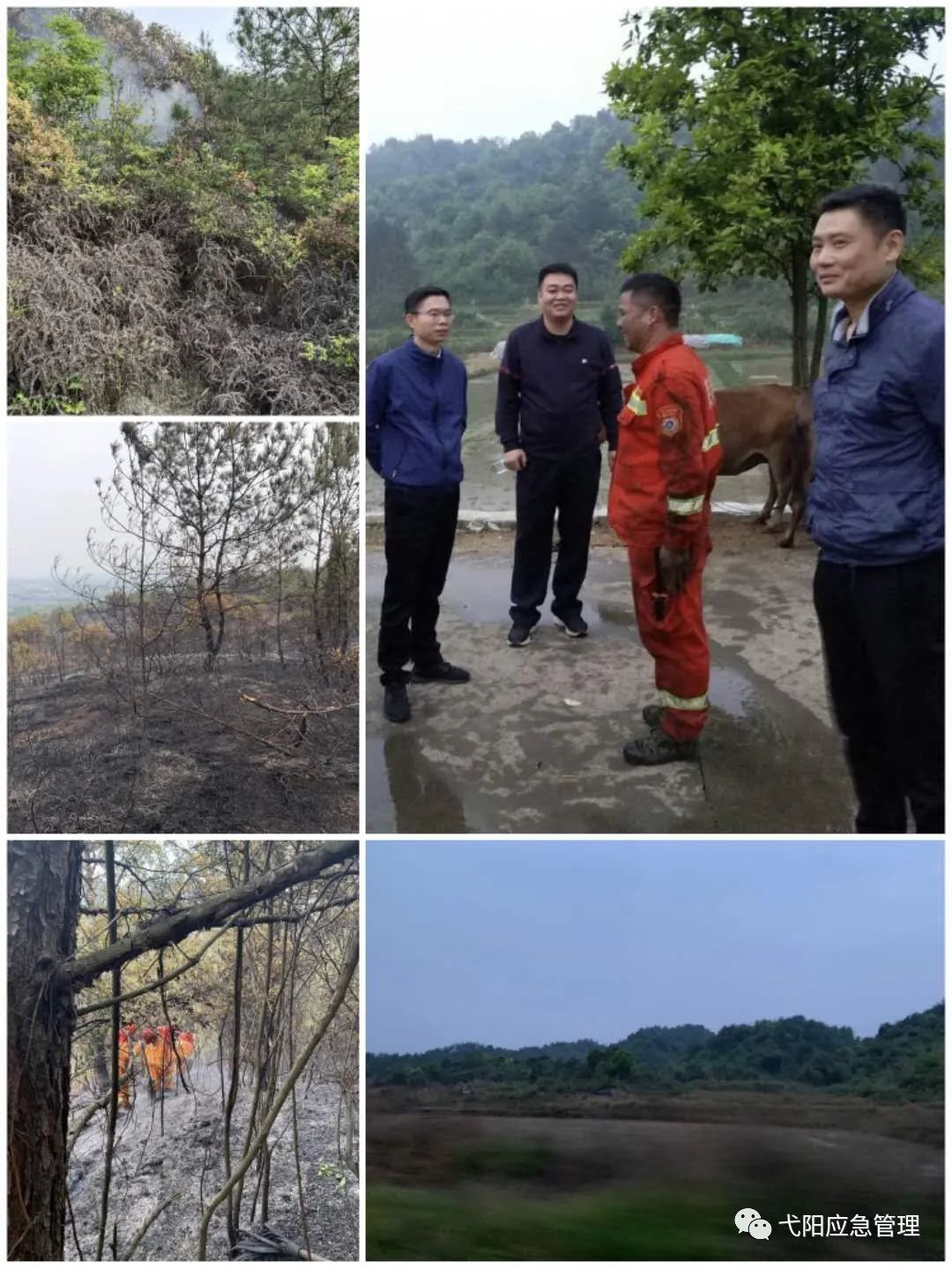 弋阳人口多少_弋阳年糕(3)