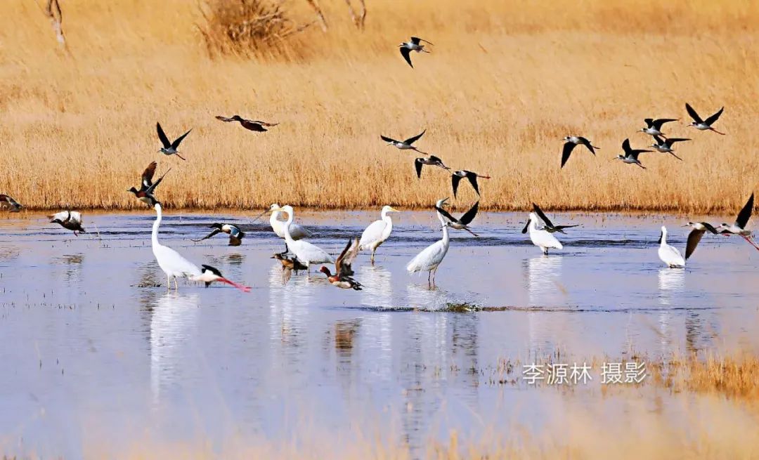 游学武威：带着孩子感受凉州历史人文