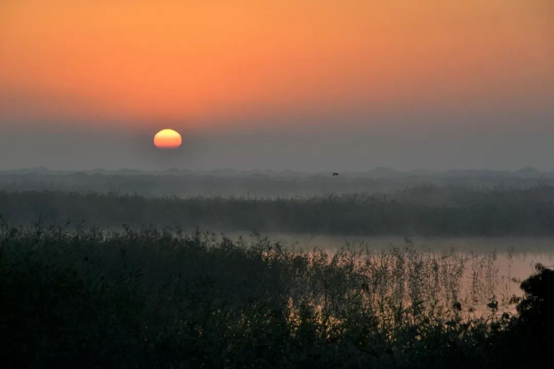 游学武威：带着孩子感受凉州历史人文