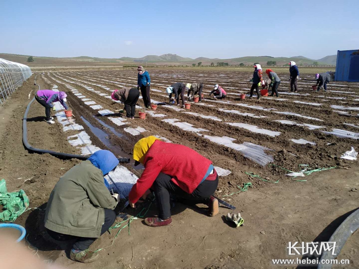 用地■河北：实施规划用地“多审合一多证合一”改革