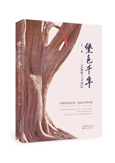 六年访遍了辽宁的古树这段岁月里有我的父亲母亲 辽宁频道 凤凰网