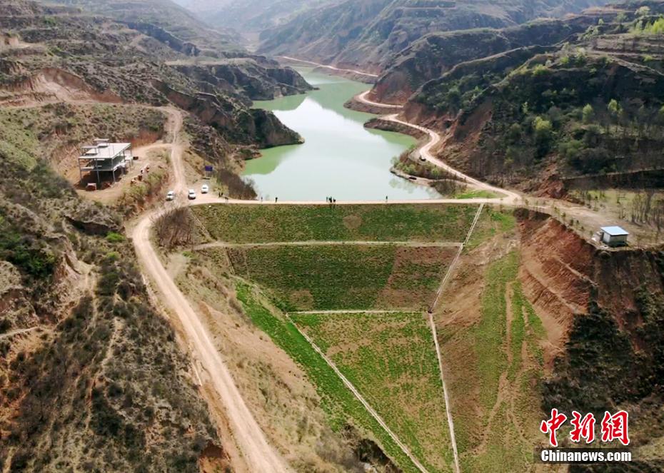 甘肃庆阳黄土高原沟壑区“固沟保塬”  构筑生态安全屏障