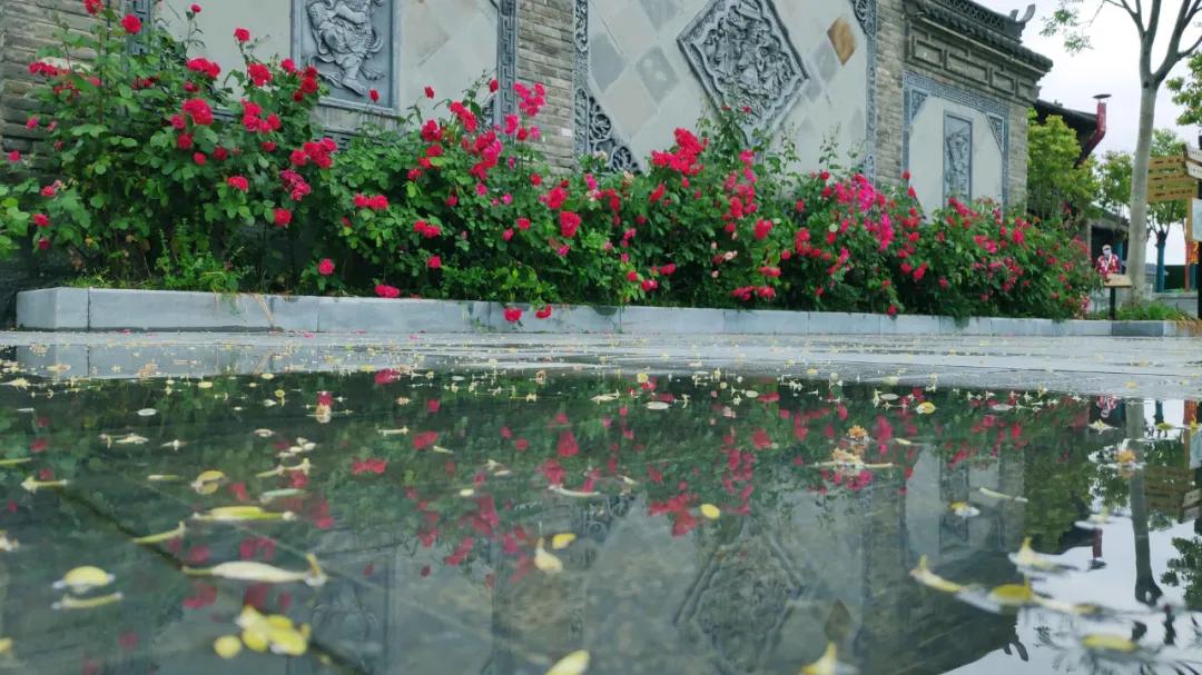 点进来带你看不一样的启封故园 河南频道 凤凰网