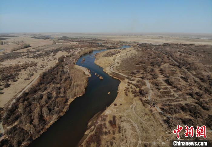 2020年3月，航拍镜头下的甘肃省武威市民勤县石羊河蔡旗断面水域。(资料图) 杨艳敏摄
