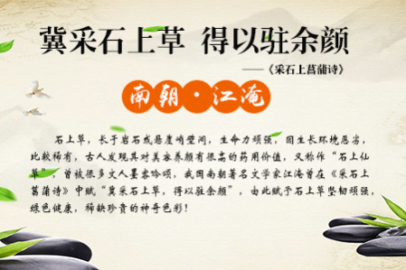 脱发怎么办？防脱洗发水哪个好，我们该怎么选择防脱洗发水！