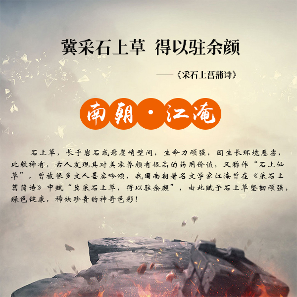 掉头发是什么原因 防脱发洗发水哪个好