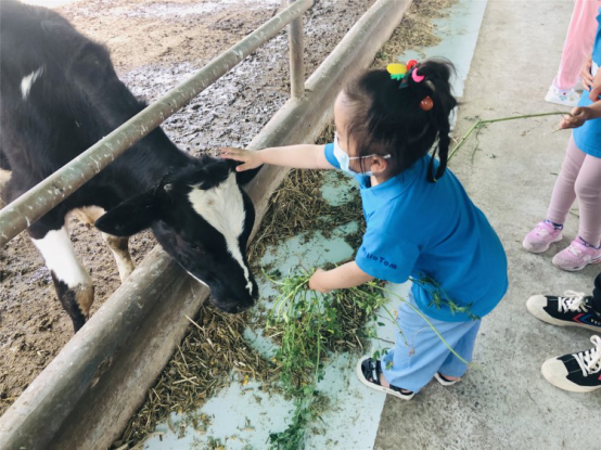 1591263738631963.png 11.png