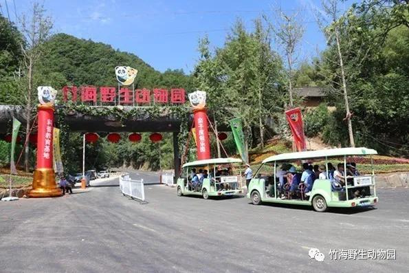 打折免票還送餐欒川竹海野生動物園鉅惠來襲