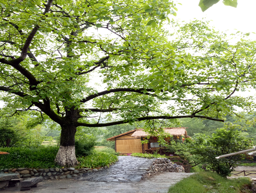 夏意正浓 听小曲观民俗感受陇之南的“清凉”