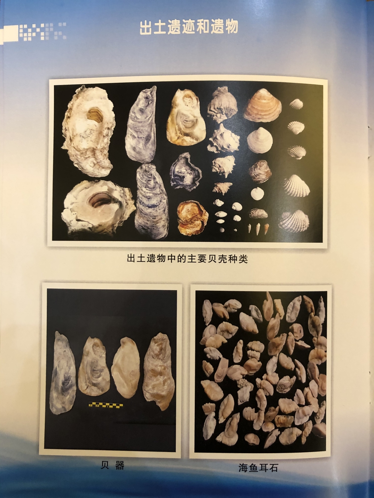 微信图片_20200530092202.jpg