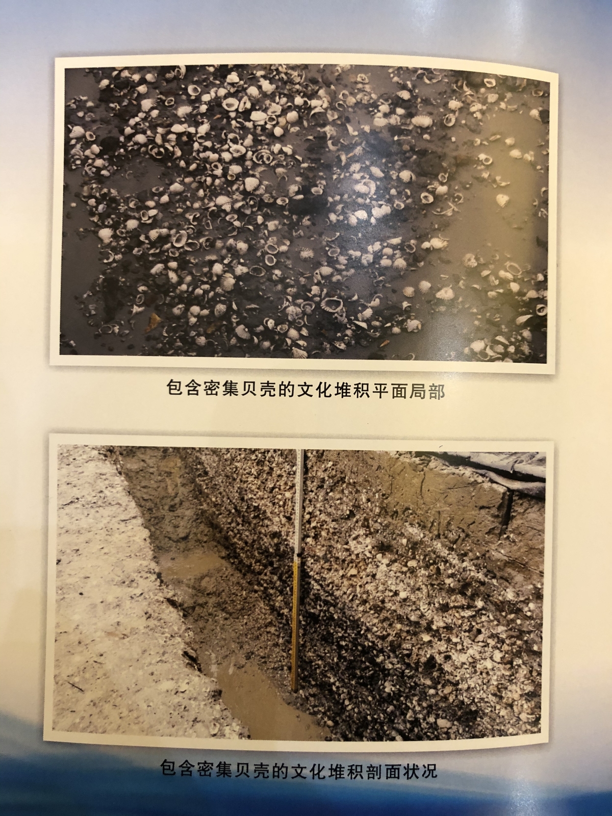 微信图片_20200530092144.jpg