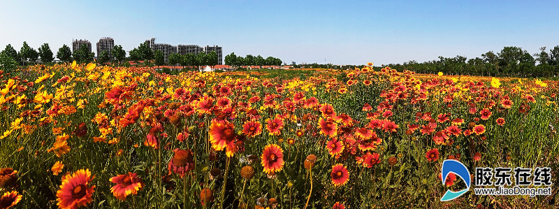 img_20200606_155522_fuben