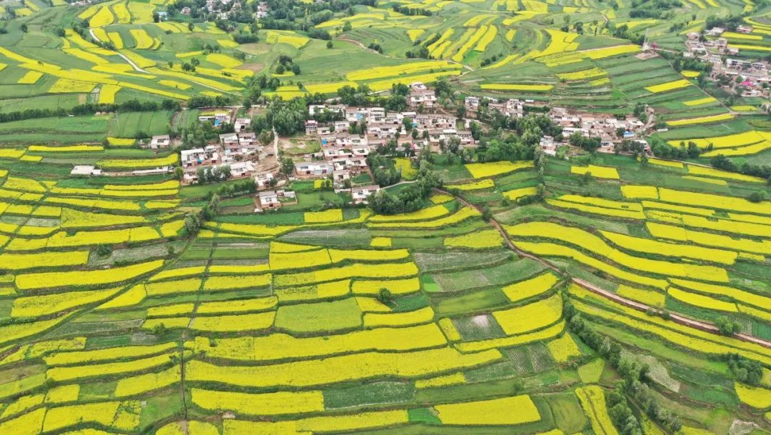 旅游是甘肃重点发展的产业之一。图为甘肃省积石山保安族东乡族撒拉族自治县山乡油菜花盛开，美如画卷。新华社发。