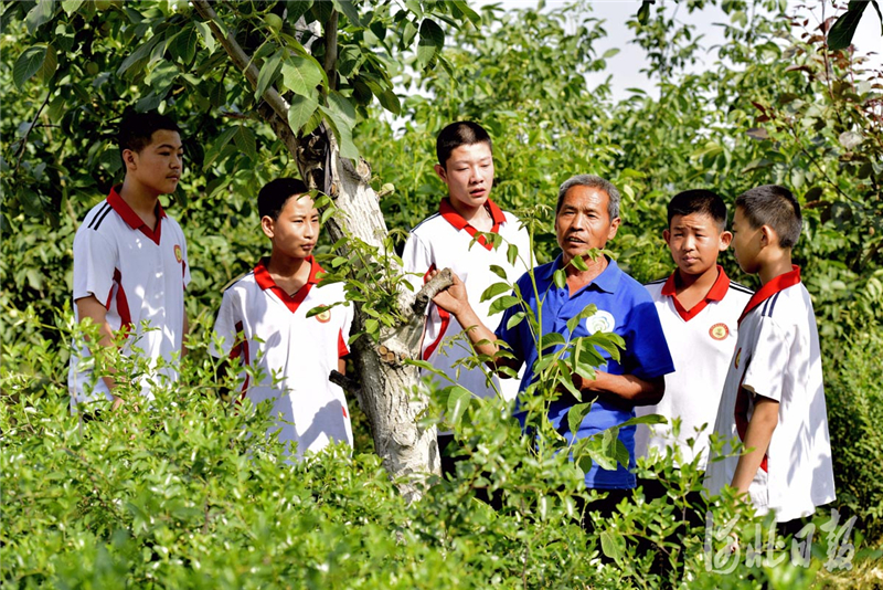 2020年6月6日,河北省临城县鸭鸽营中学学生在劳动教育基地——绿岭