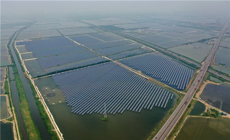 这是6月14日拍摄的河北省唐山市丰南区通威“渔光一体”现代渔业产业园一期项目（无人机照片）。