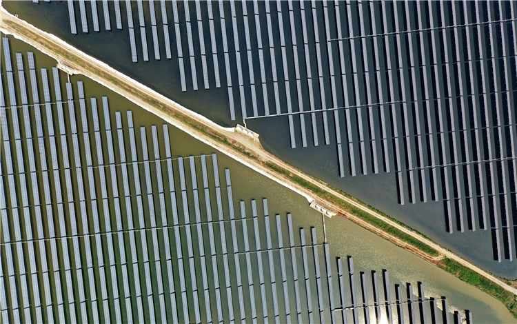 这是6月14日拍摄的河北省唐山市丰南区通威“渔光一体”现代渔业产业园一期项目（无人机照片）。