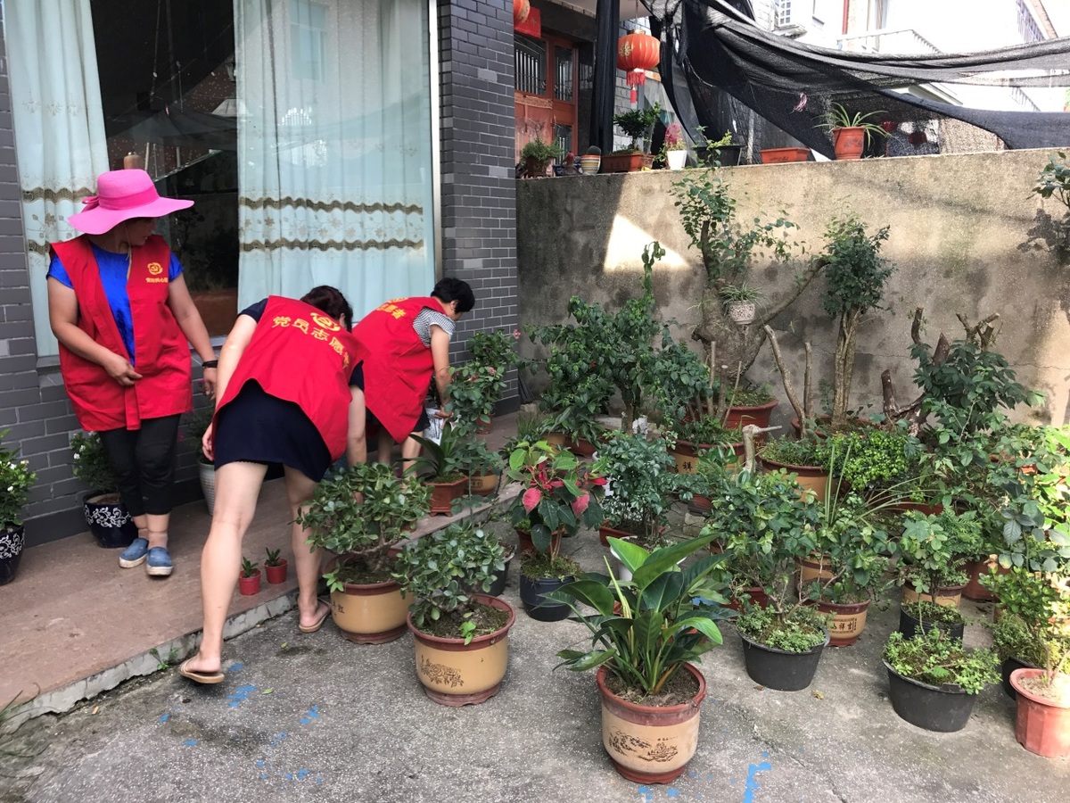 图片1.jpg