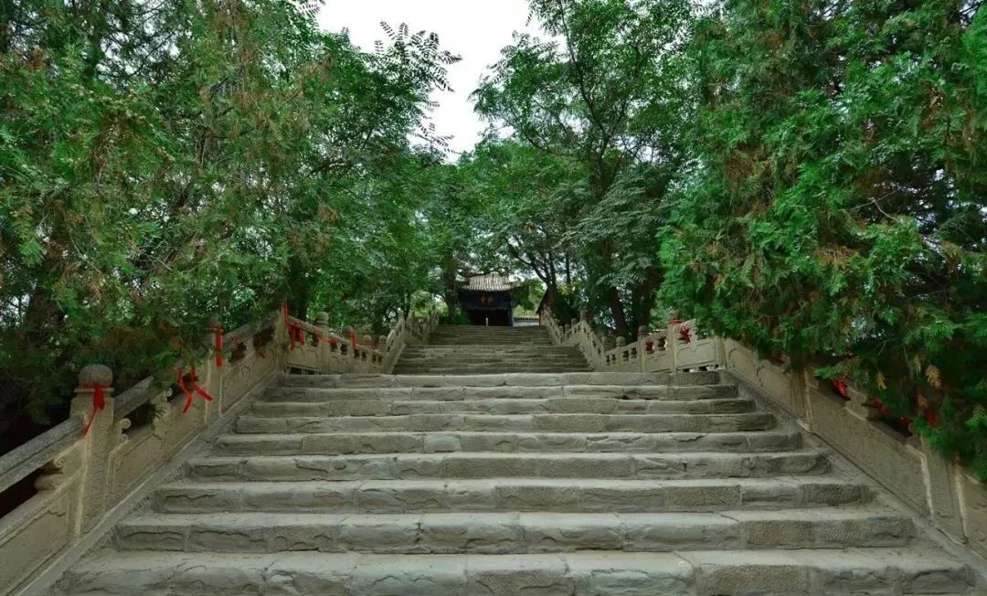 中国旅游标志马踏飞燕出自武威雷台汉墓 享誉世界