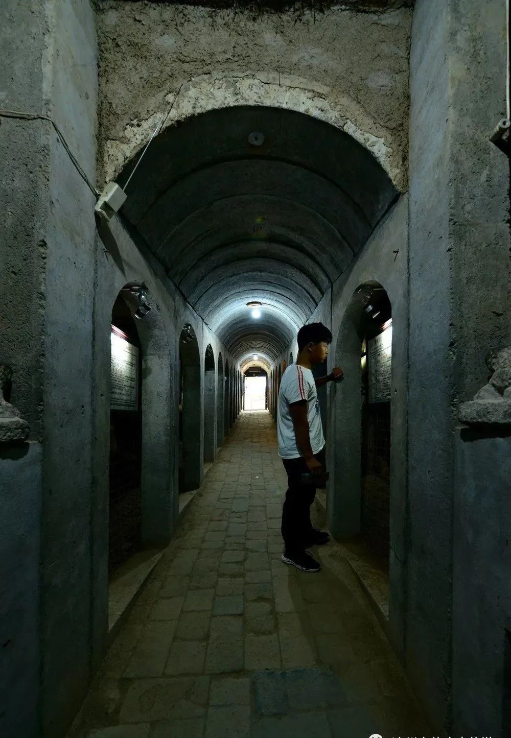 中国旅游标志马踏飞燕出自武威雷台汉墓 享誉世界