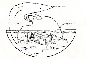 图/冷知识社bot微博截图