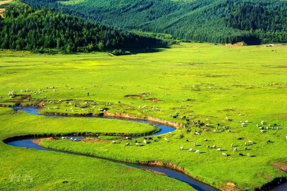 去草原何须走远!甘肃的这八个大草原任你策马驰骋!