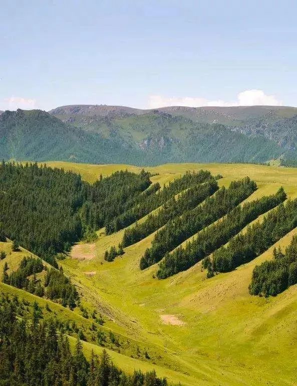 去草原何须走远!甘肃的这八个大草原任你策马驰骋!