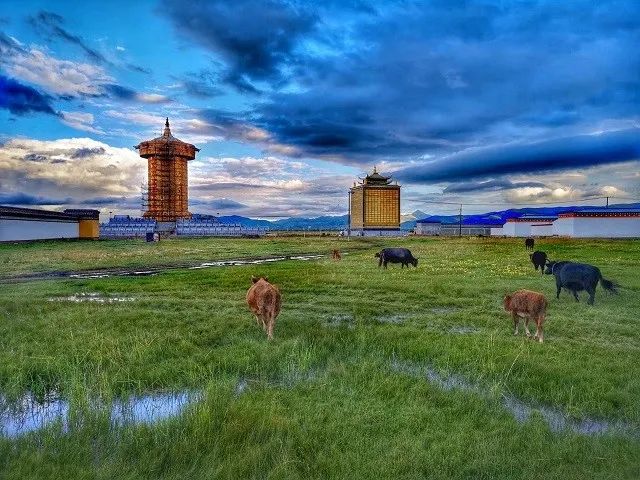 9.jpg 去草原何须走远!甘肃的这八个大草原任你策马驰骋!