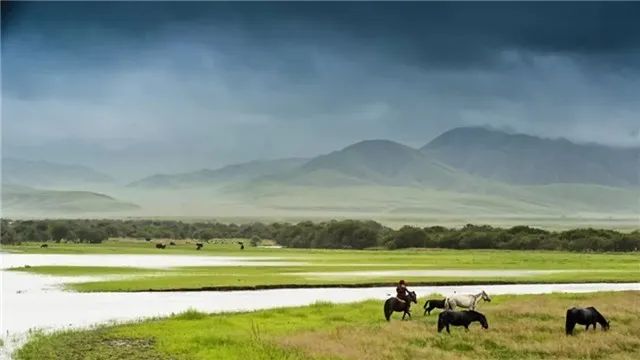 桑科草原1.1.jpg 去草原何须走远!甘肃的这八个大草原任你策马驰骋!