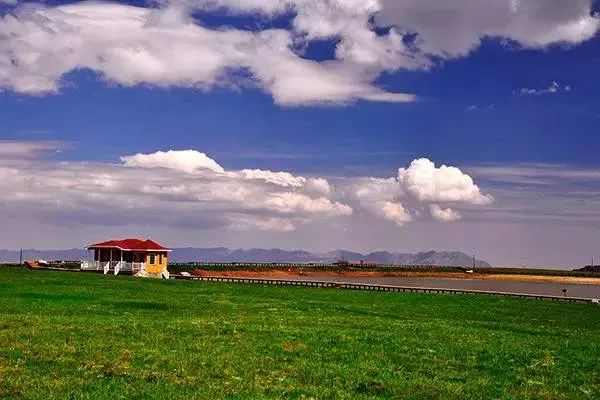 去草原何须走远!甘肃的这八个大草原任你策马驰骋!