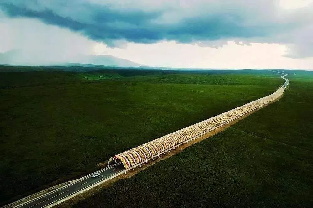 去草原何须走远!甘肃的这八个大草原任你策马驰骋!