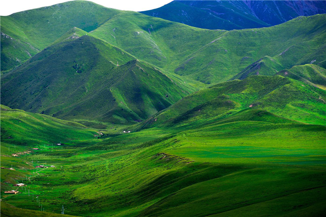 1.png 去草原何须走远!甘肃的这八个大草原任你策马驰骋!