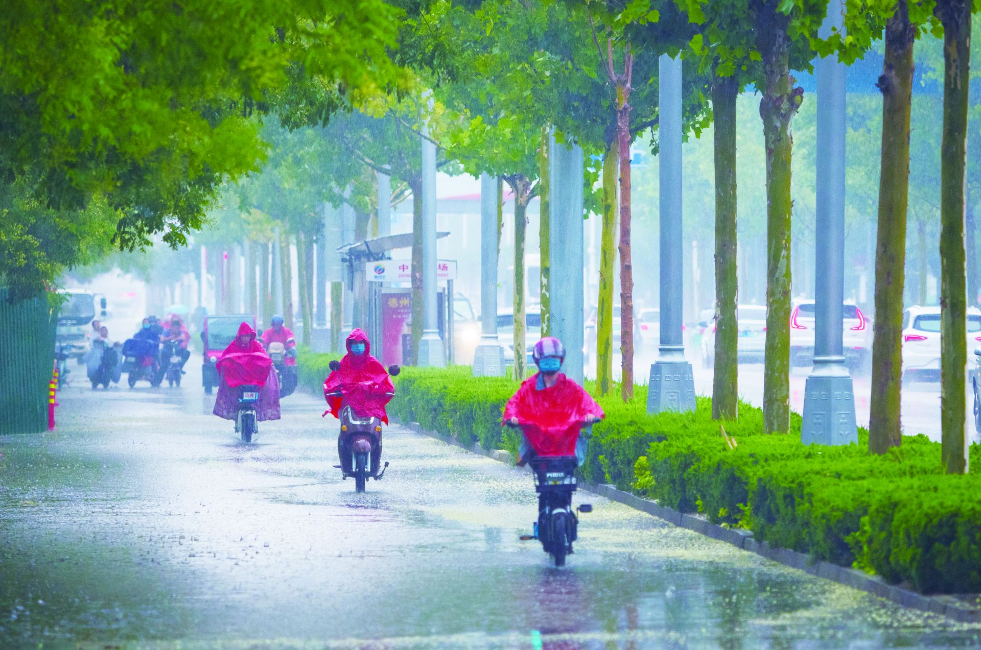 雨中真空骑行图片