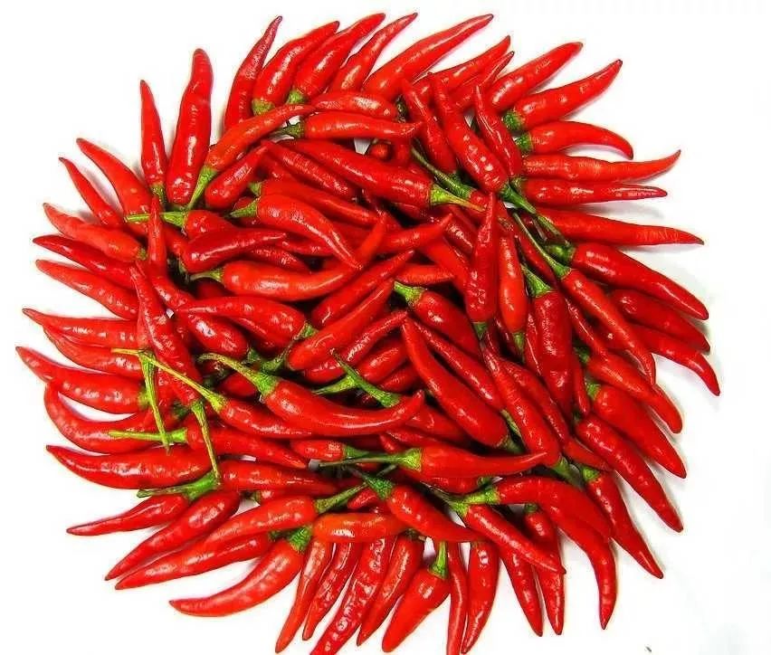 甘肃这道美食色香味俱佳 经常在国宴上"露脸"!