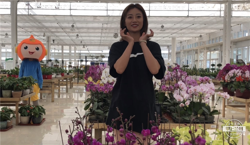 战疫归来“天使”卸甲 兰州新区免费“养”你