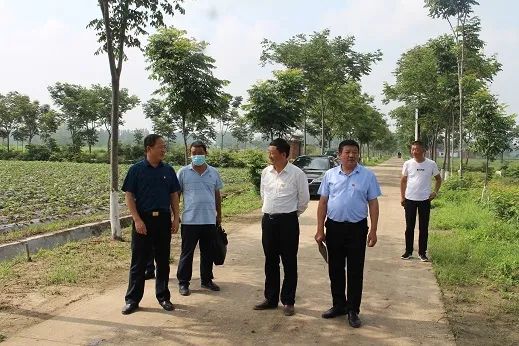 金平深入息县东岳镇检查指导脱贫攻坚工作