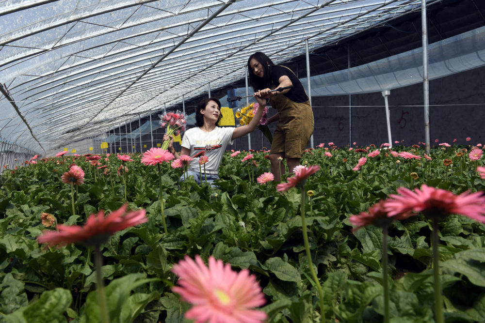 日照 鲜花书记 钟翠娟 一头扎进农村与村党员干部群众一块干 一块苦 山东频道 凤凰网