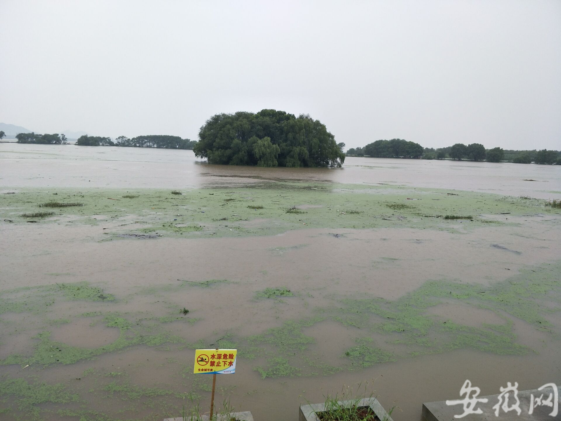 内涝|强降雨致安徽巢湖柘皋镇发生内涝，当地已疏散转移1.4万人 新京报讯（记者|