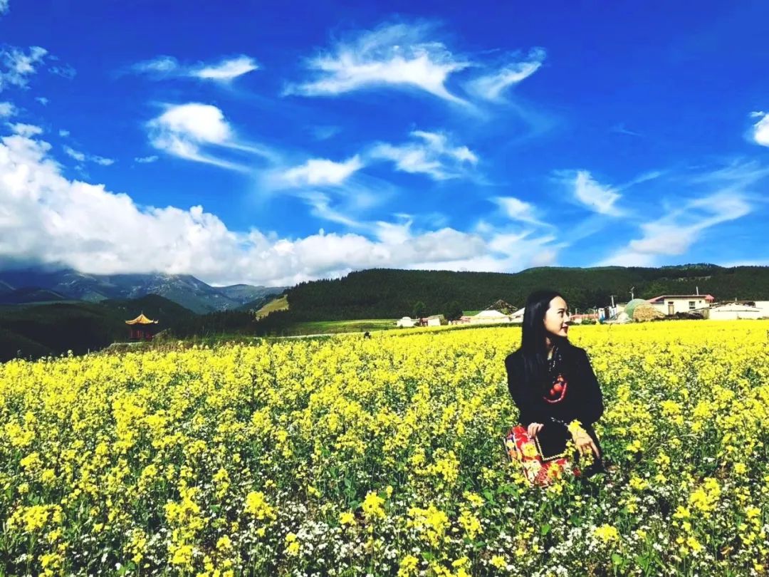 （武威文体广电旅游）